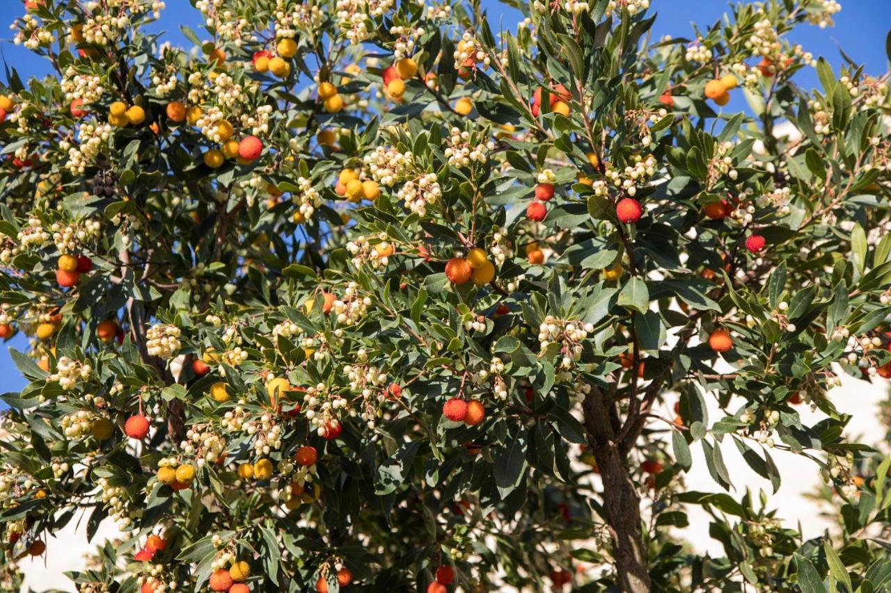 Masseria Lilei Lizzanello Exterior foto